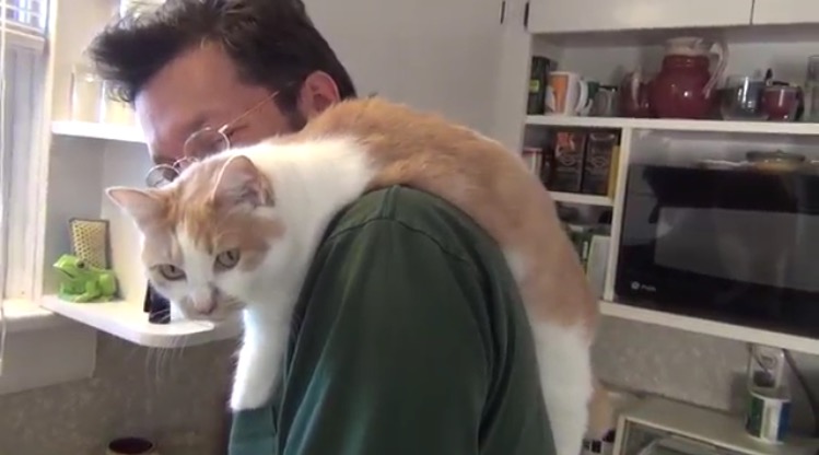 お皿洗いを見守るにゃ！肩にぶら下がってご主人を応援する猫