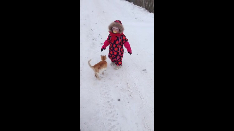 雪道を歩く子供に実力行使で構ってアピールをする猫
