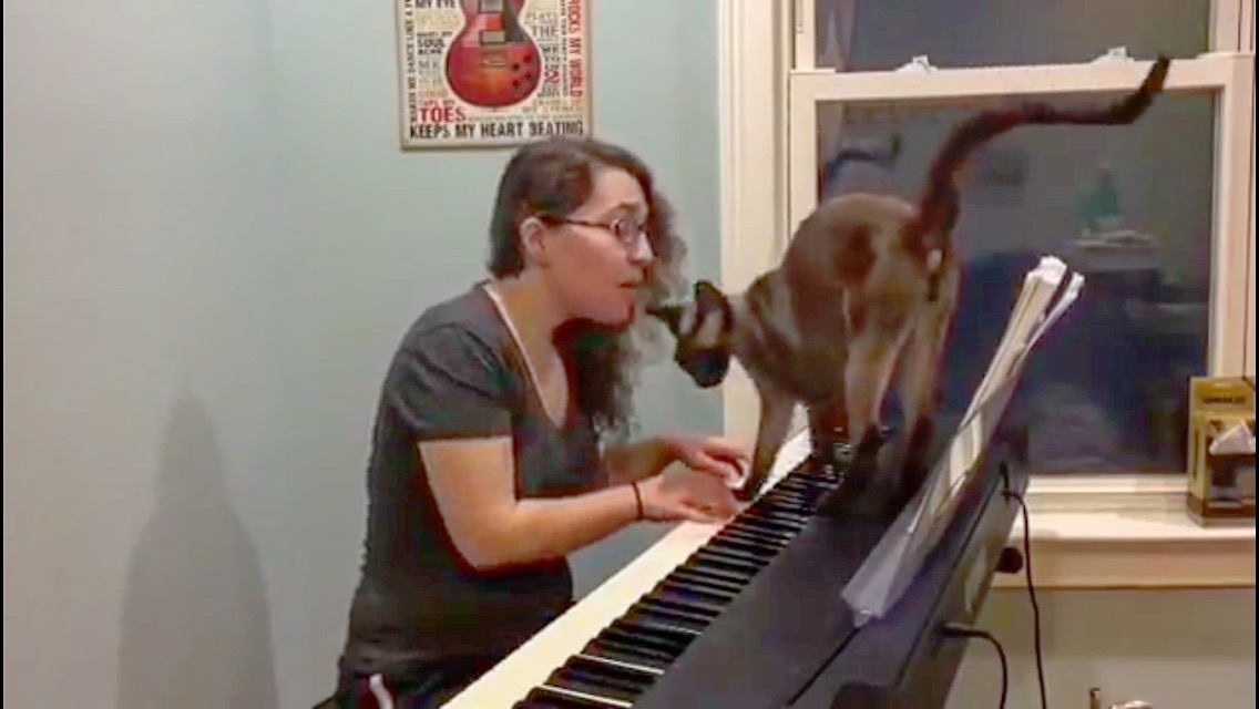 嫌な予感が的中！飼い主さんのピアノ弾き語りに猫が乱入し・・・