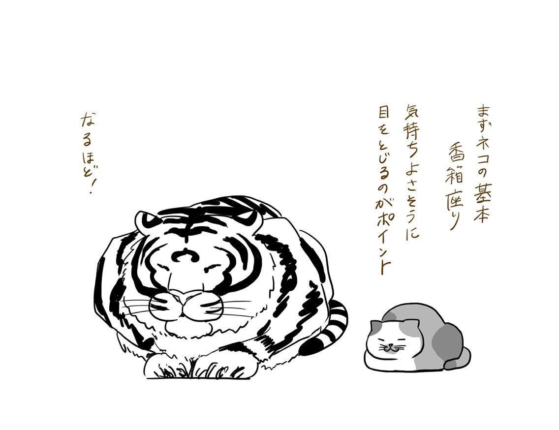 小さなネコ先輩を慕う大きなトラ後輩のイラストがほっこり可愛い ねこナビ