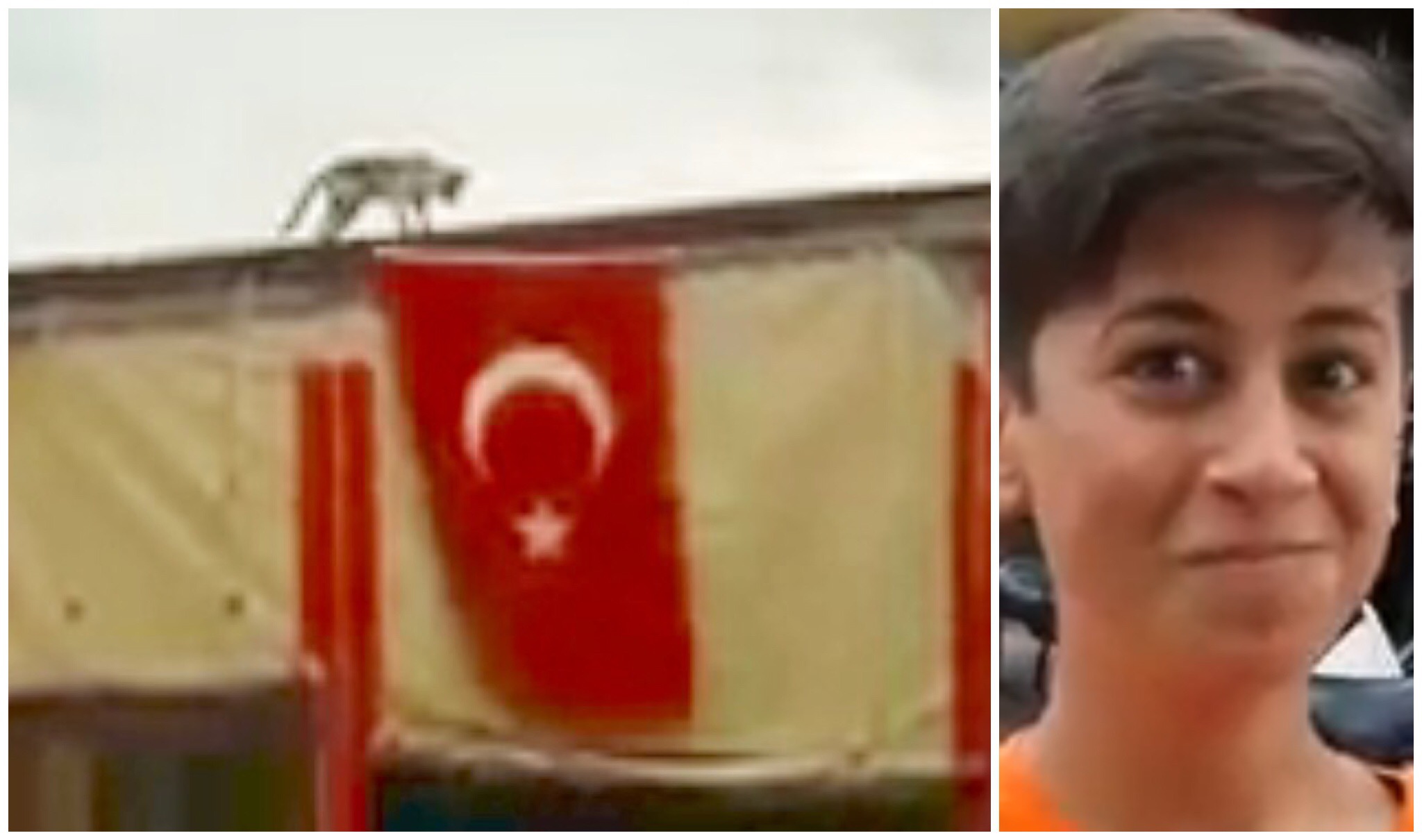 国旗をバサリ！トルコの猫さんは愛国心満点かつ手先が器用で観衆もびっくり！