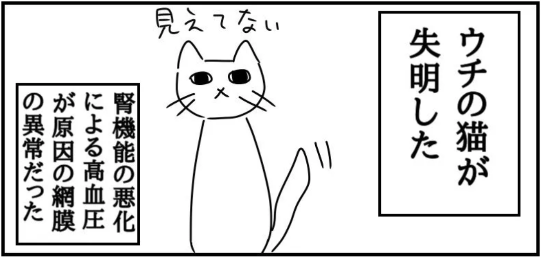 猫の失明を早期発見するには？twitterで話題になったタメになる雑学系ねこ漫画