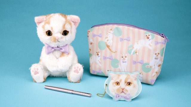 甘え猫ホイップちゃんのぬいぐるみ＆ポーチセットが11月下旬に発売決定