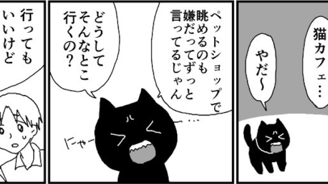 もはやカップル！ヤキモチ焼きな黒猫×翻弄される飼い主のラブラブ猫漫画