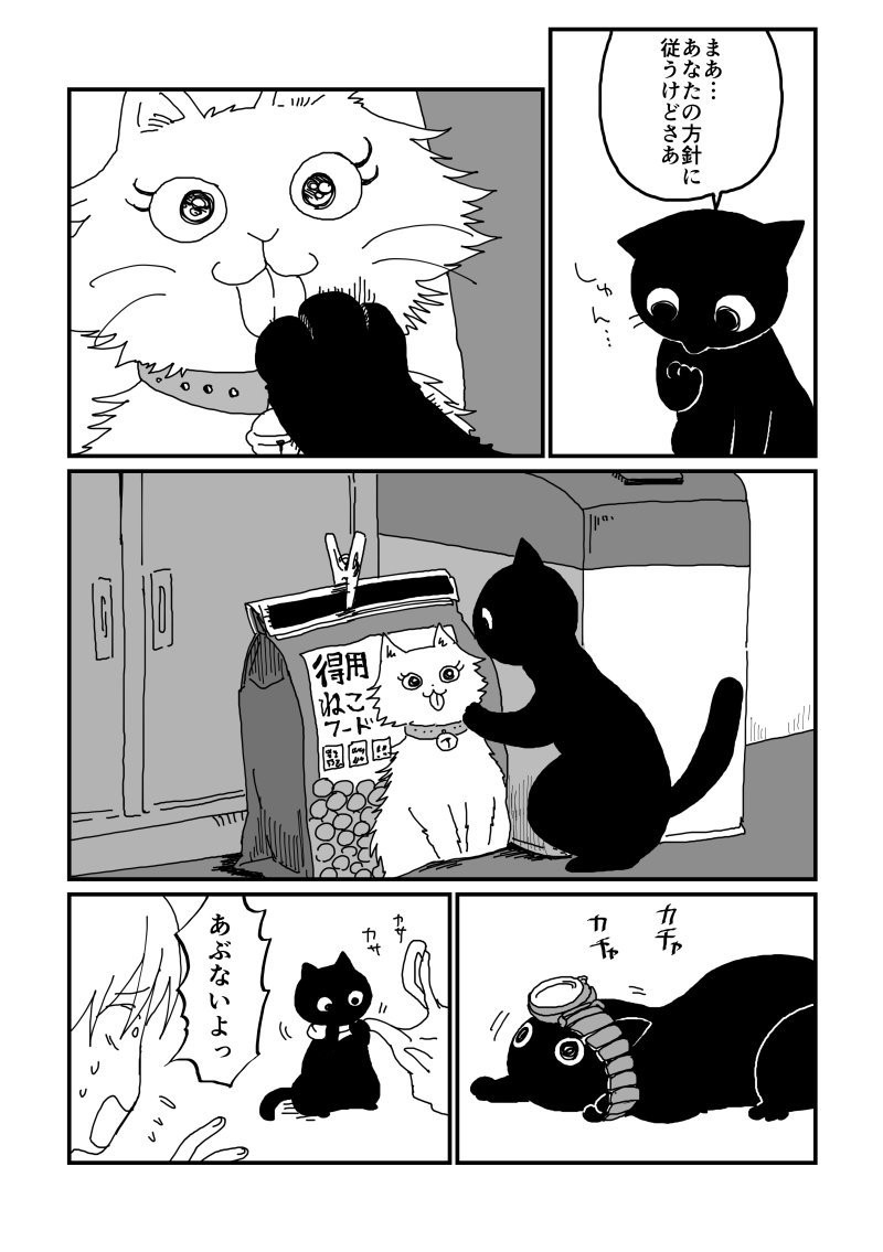 もはやカップル ヤキモチ焼きな黒猫 翻弄される飼い主のラブラブ猫漫画 ねこナビ