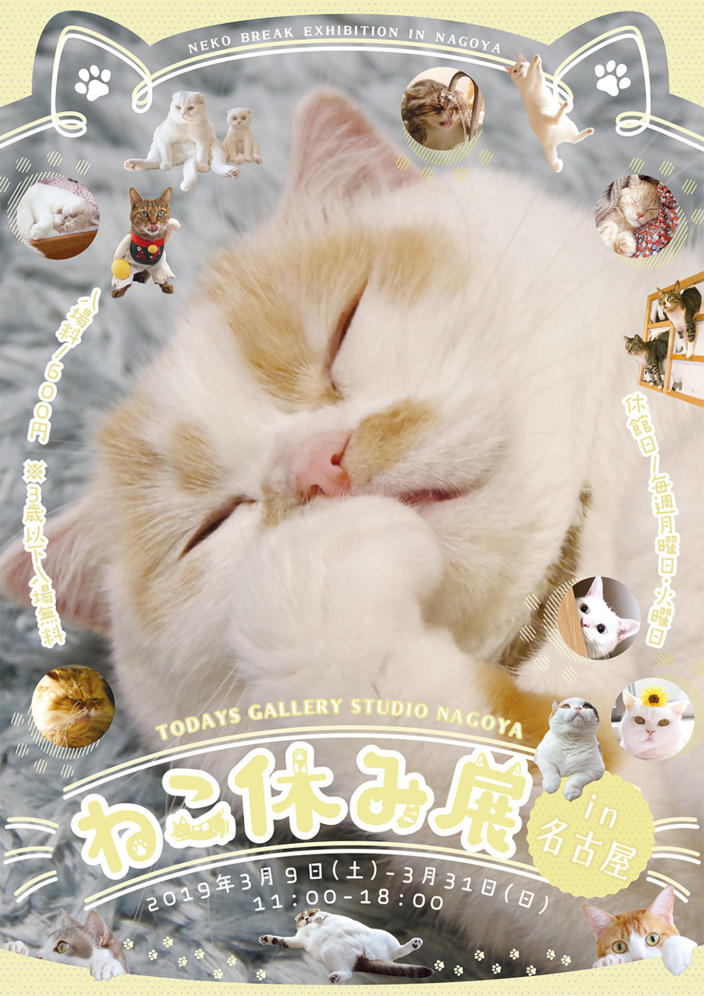 スター猫ホイちゃんの新作グッズも初上陸！「ねこ休み展」が3月9日(土)から名古屋で開催｜ねこナビ