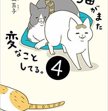 人気漫画家・卵山玉子さんの『うちの猫がまた変なことしてる。4』が2月22日（金）に発売！