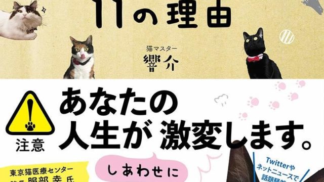猫マスター・響介さんが『猫を飼うのをすすめない11の理由』を発売