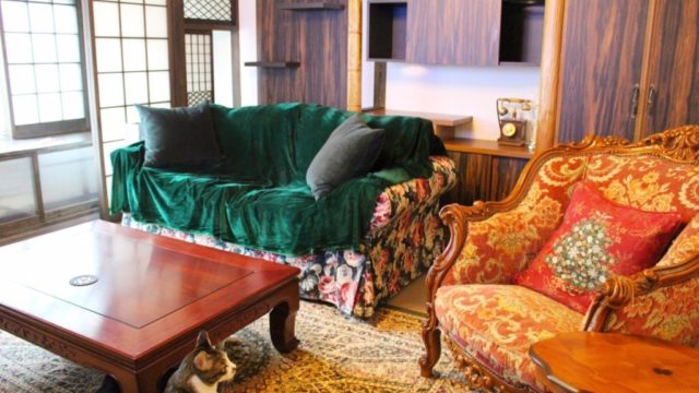 完全個室のプライベート空間！新しい形の猫カフェを提案する「スイートホームウリエル」