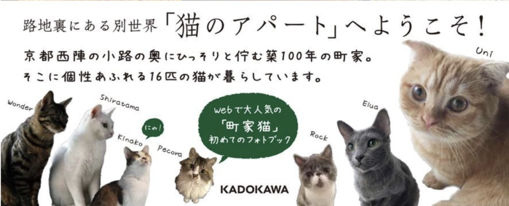 16匹のアイドル猫を収録 京都町家猫カフェ キャットアパートメントコーヒー が写真集を発売 ねこナビ