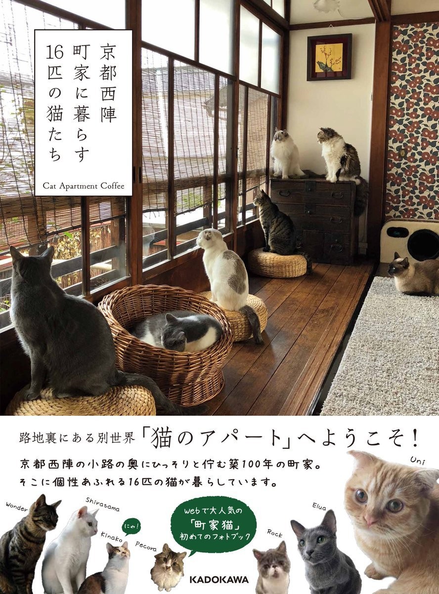 京都 町家 猫 カフェ キャット アパートメント コーヒー