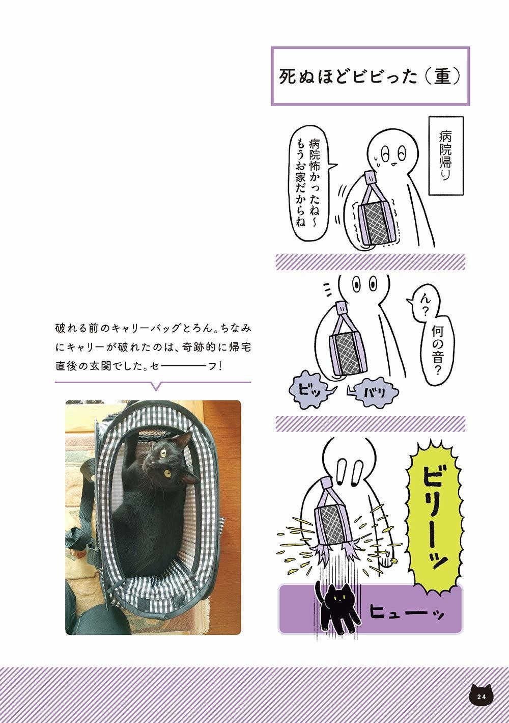 Twitterで話題の猫絵日記が書籍化 黒猫ろんと暮らしたら が発売 ねこナビ