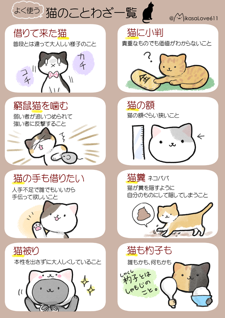 日本と海外の 猫 のことわざを集めてみました ねこナビ