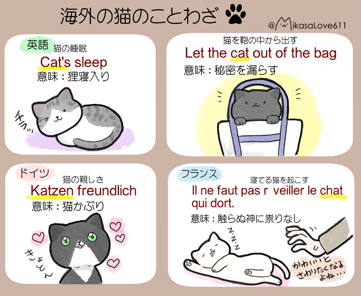 日本と海外の 猫 のことわざを集めてみました ねこナビ