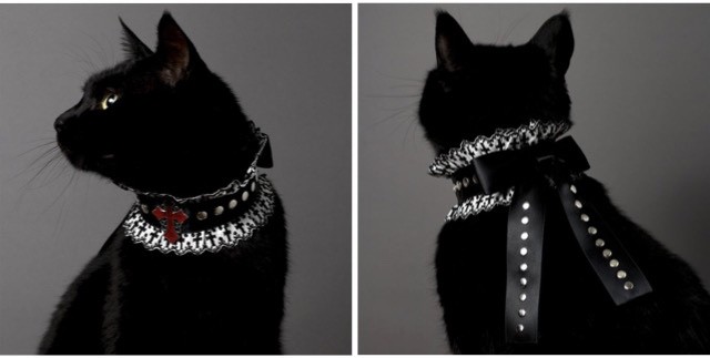 まるで絵画みたい イラストレーターが製作した 黒猫に似合う首輪 ねこナビ