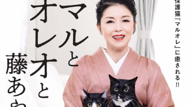 SNSで大人気！藤あや子さんと愛猫マルオレツインズのファースト写真集が発売！