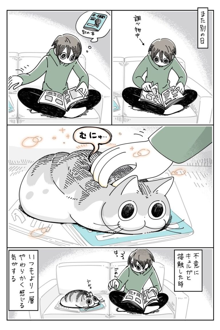 不思議な筆致に癒される猫漫画『夜は猫といっしょ』第2巻本日発売!|ねこナビ 不思議な筆致に癒される猫漫画『夜は猫といっしょ』第2巻本日発売!|ねこナビ