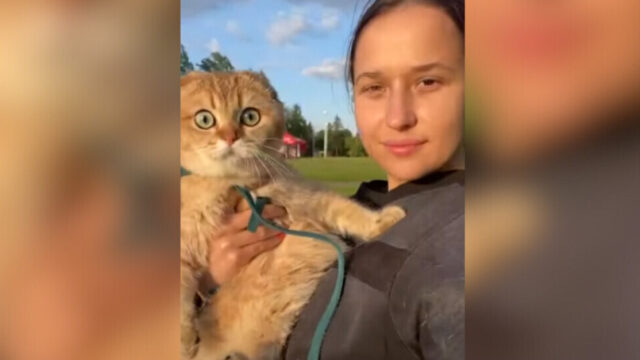 ふたりの表情に注目！愛猫と撮影したコミカルなツーショット動画