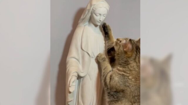 「きっと神聖なものだニャ」茶トラ猫ちゃんがマリア像のお顔にやさしくタッチ