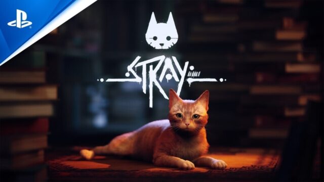 猫になれるアクションアドベンチャーゲーム「Stray」プレイ感想と本物の猫の反応を一挙紹介