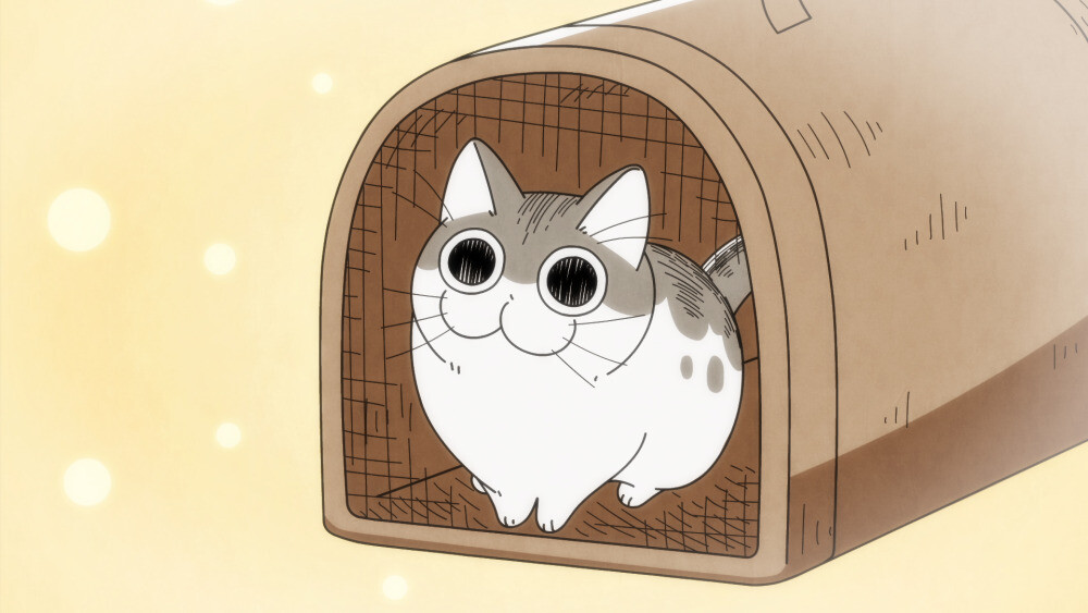 人気猫コミックエッセイ『夜は猫といっしょ』がアニメ化