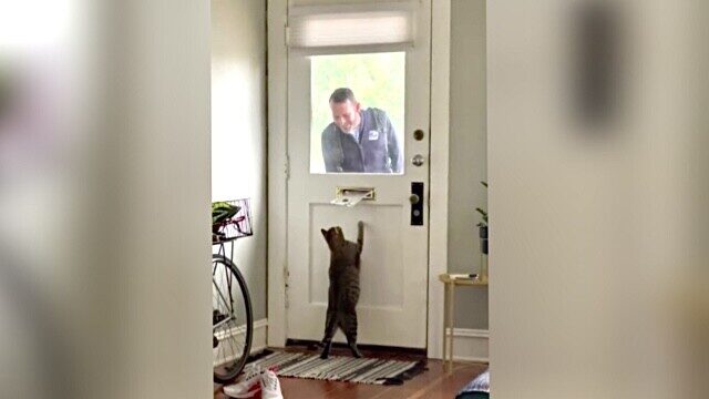 今日も待ってたよ！毎朝、玄関ポストの前で郵便配達員さんを待ち続ける猫ちゃん　