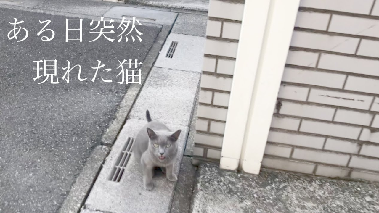 42c4119e82b97f3a53929e9082ef4a