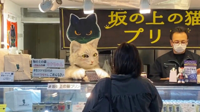 猫店員ミクちゃんが接客！猫好きな日本料理専門調理師のオーナーが営む「プリン専門店」