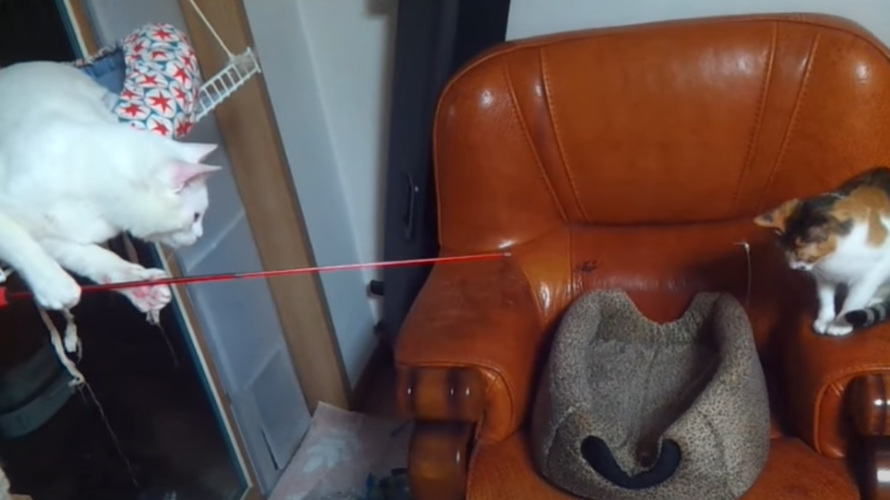 ec63b0efa3782db84377d0e71181fc