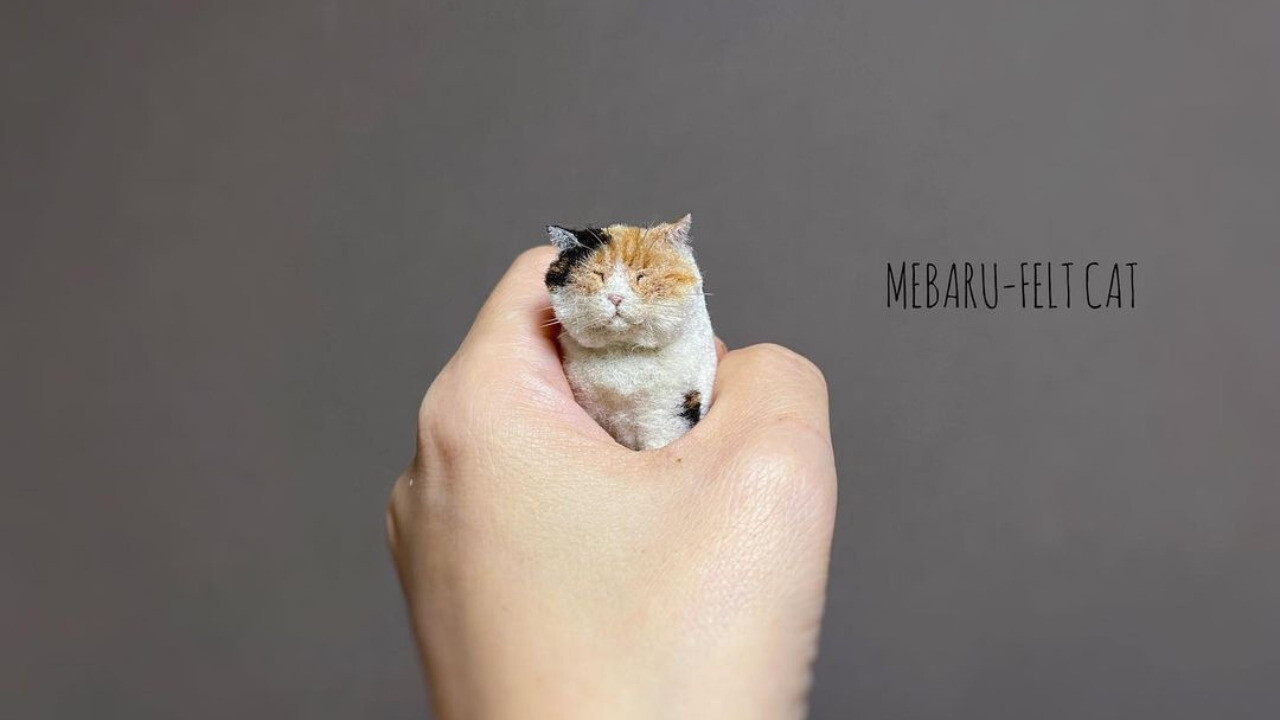 手のひらにちょこん！ミニチュアサイズの”羊毛猫”を生み出す羊毛作家のMEBARUさん - ねこナビ