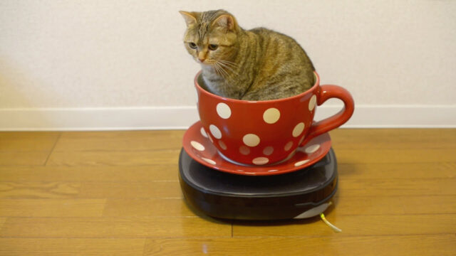 コーヒーカップみたい！赤い水玉がキュートなカップ＋ロボット掃除機で猫ちゃん遊園地の完成！