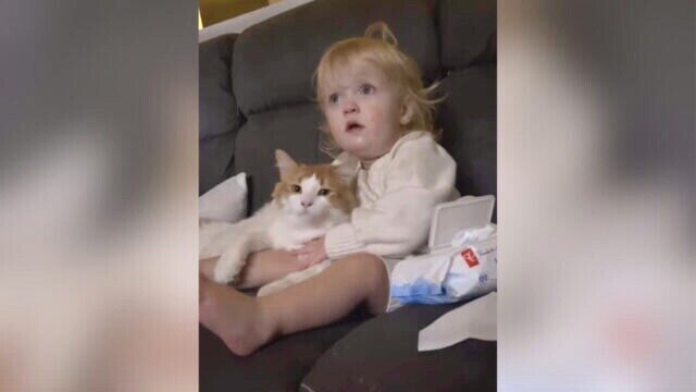 まるで本当のきょうだいのよう！赤ちゃんが猫ちゃんをぎゅっと抱っこしてのワクワクテレビタイム