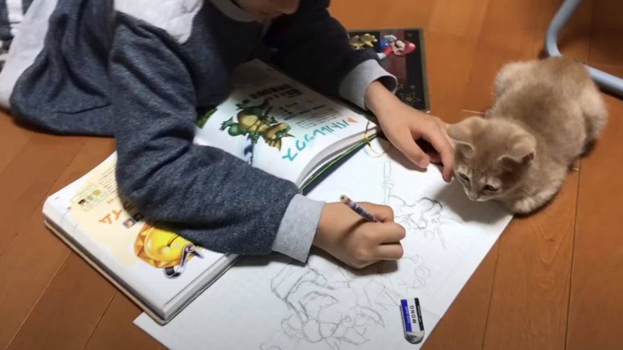 動く鉛筆に狩猟本能がウズウズ…お絵描きの邪魔をする”邪魔かわいい