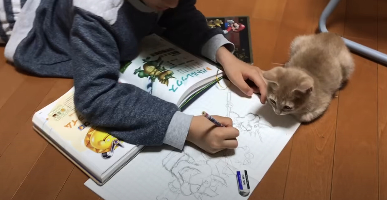 動く鉛筆に狩猟本能がウズウズ…お絵描きの邪魔をする”邪魔かわいい