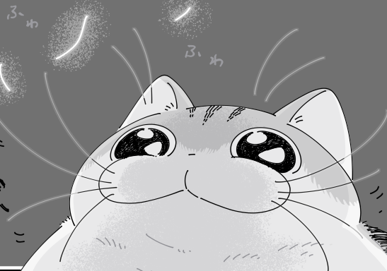 毛で遊ぶネコ｜ねこナビ