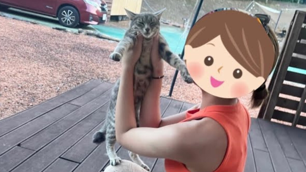 宿泊客からのクレームが絶えないママ野良猫…旅先で出会い、再訪して