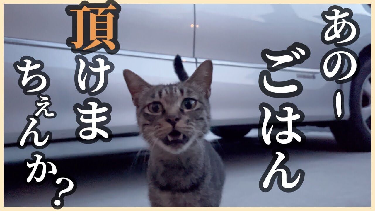 b076d844087140cc0c86241a2d007f