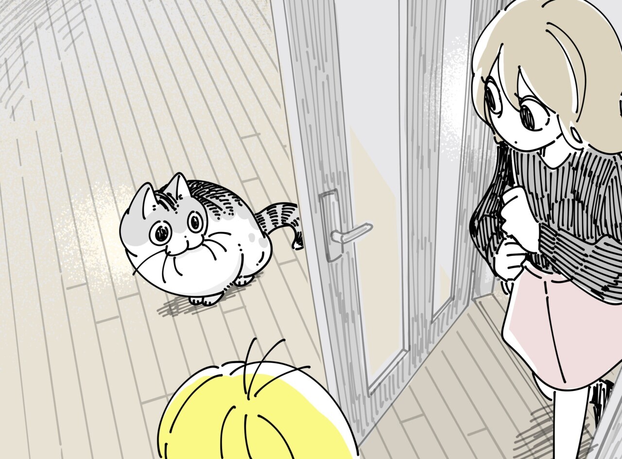 ひなねこ。ページ お客さんとネコ｜ねこナビ