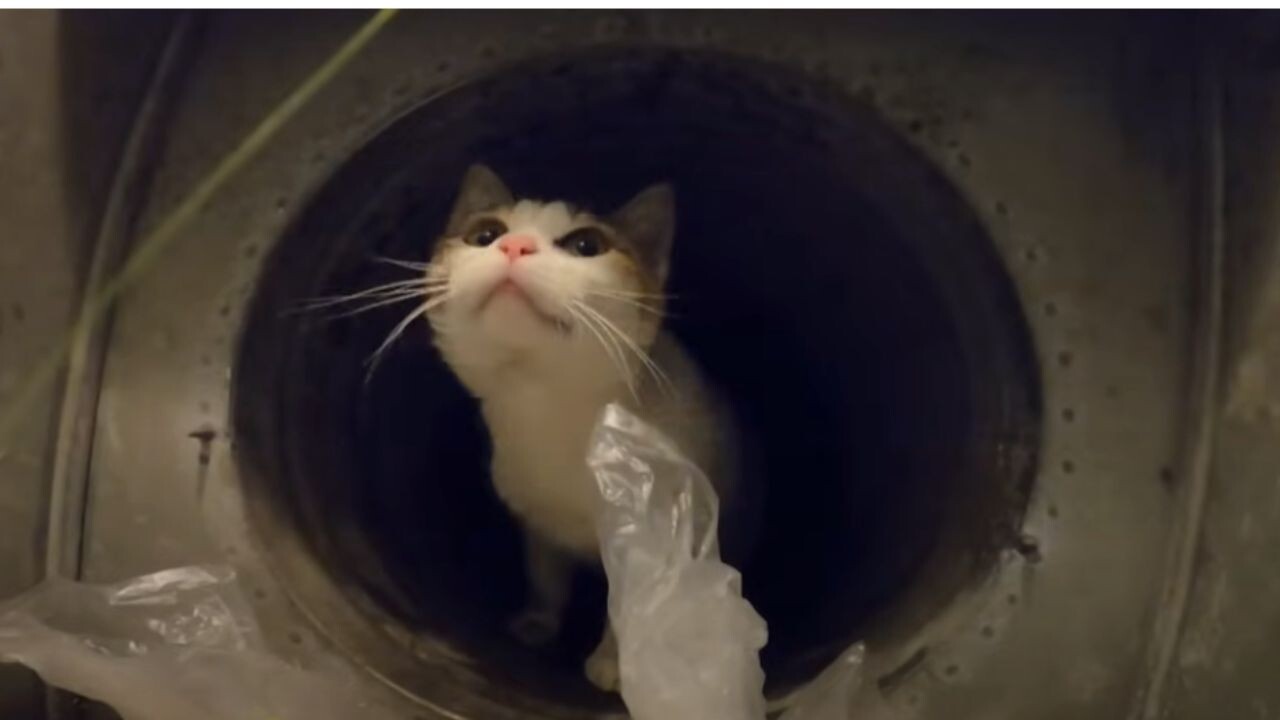 b413f6c066d1571a94ecbbbc5ffd68