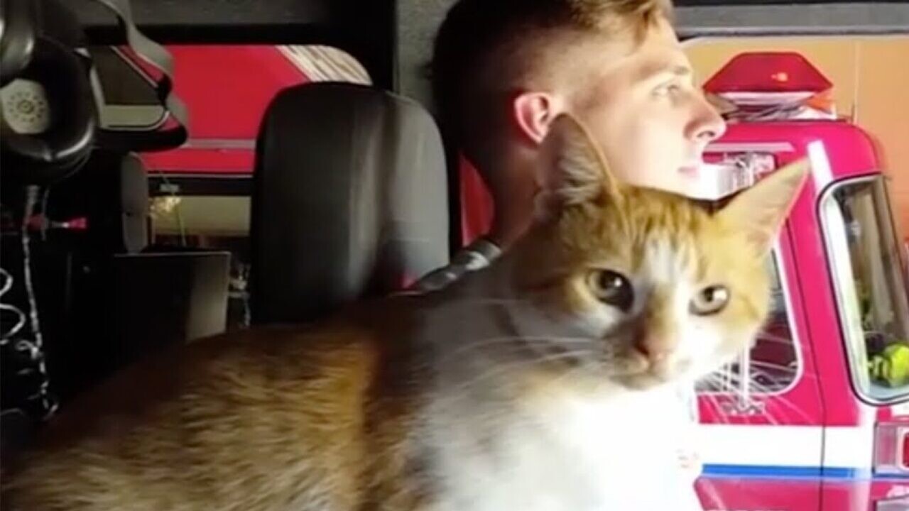 ねこ隊員 癒やしを笑いを提供する猫隊員に屈強な消防士たちはみんなメロメロ