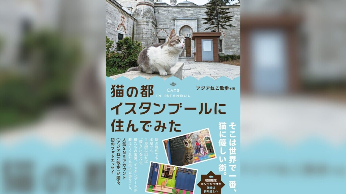 アジアねこ散歩」が初のフォトエッセイを発売！猫の都「トルコの