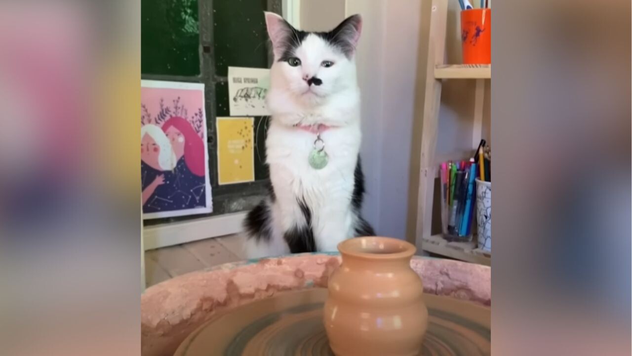 猫の手も借りたい」が現実に！飼い主さんの陶芸をお手伝いする”芸術家