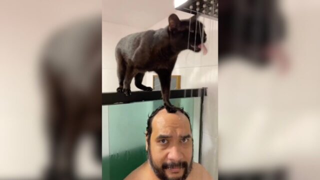 シャワーの水を飲みたくてネコハラ！飼い主の頭を”踏み台”にして水分補給する黒猫さん
