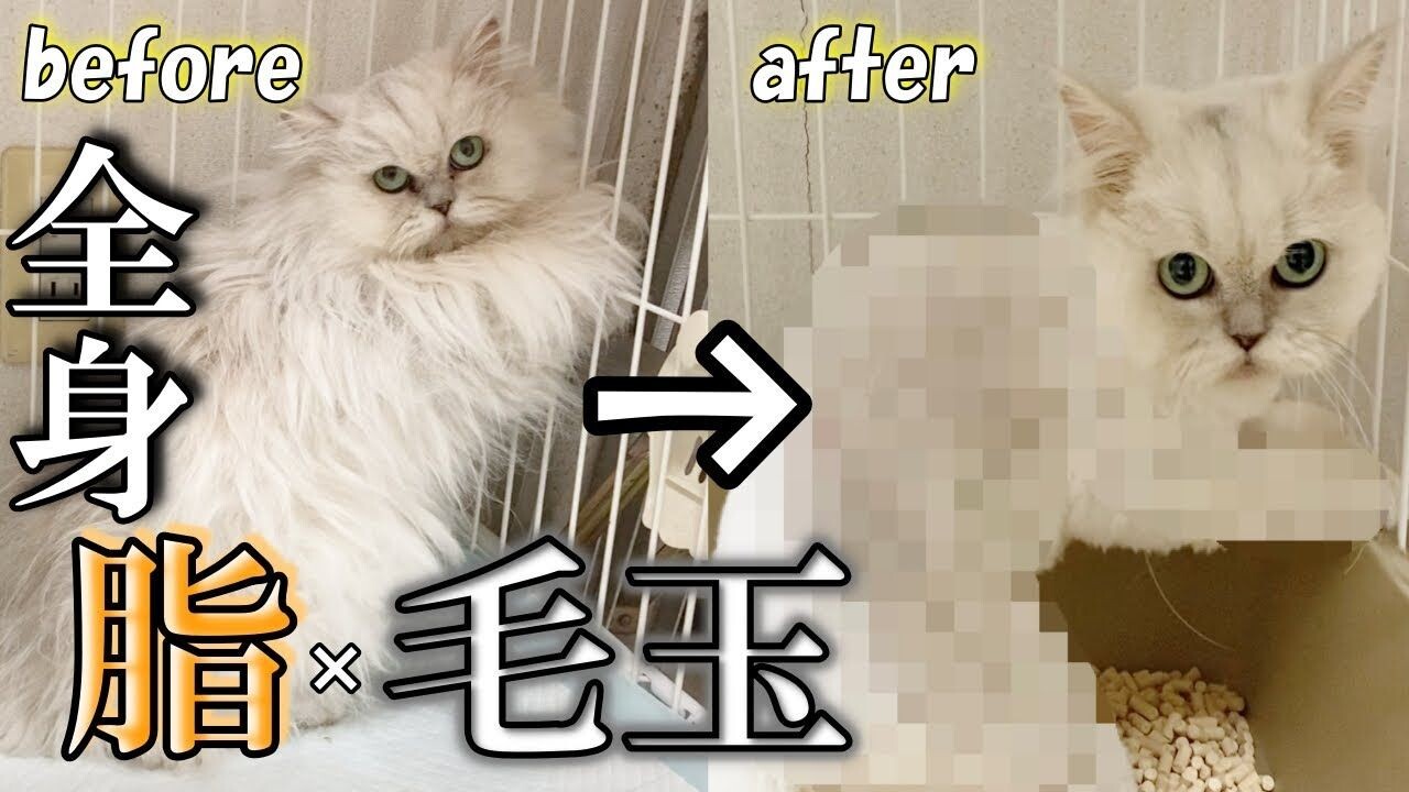 9ac376d22b3d89223dedd240427fe3