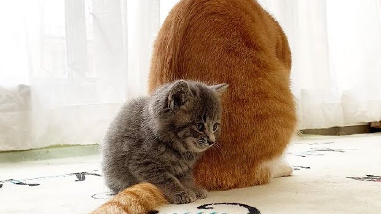 6a5a46eec25ea042d21af3c4207c28