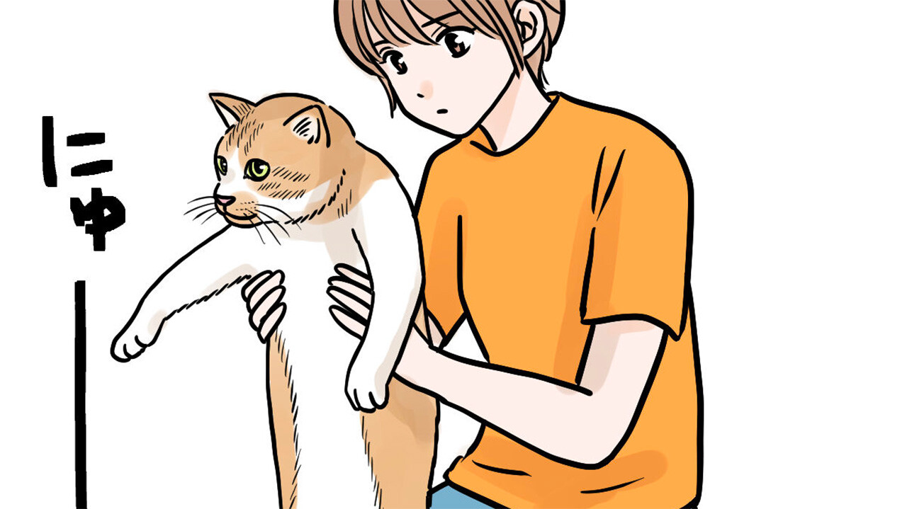 猫が二足歩行に進化するとしたら｜ねこナビ