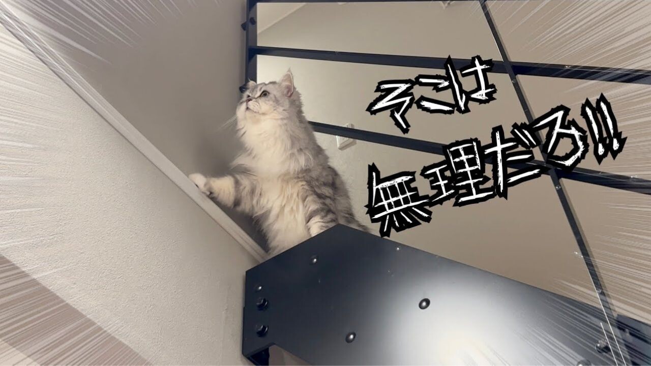 d9f86efabba4087aa799b337e07444