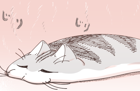 あつい所でくつろぎたがる｜ねこナビ