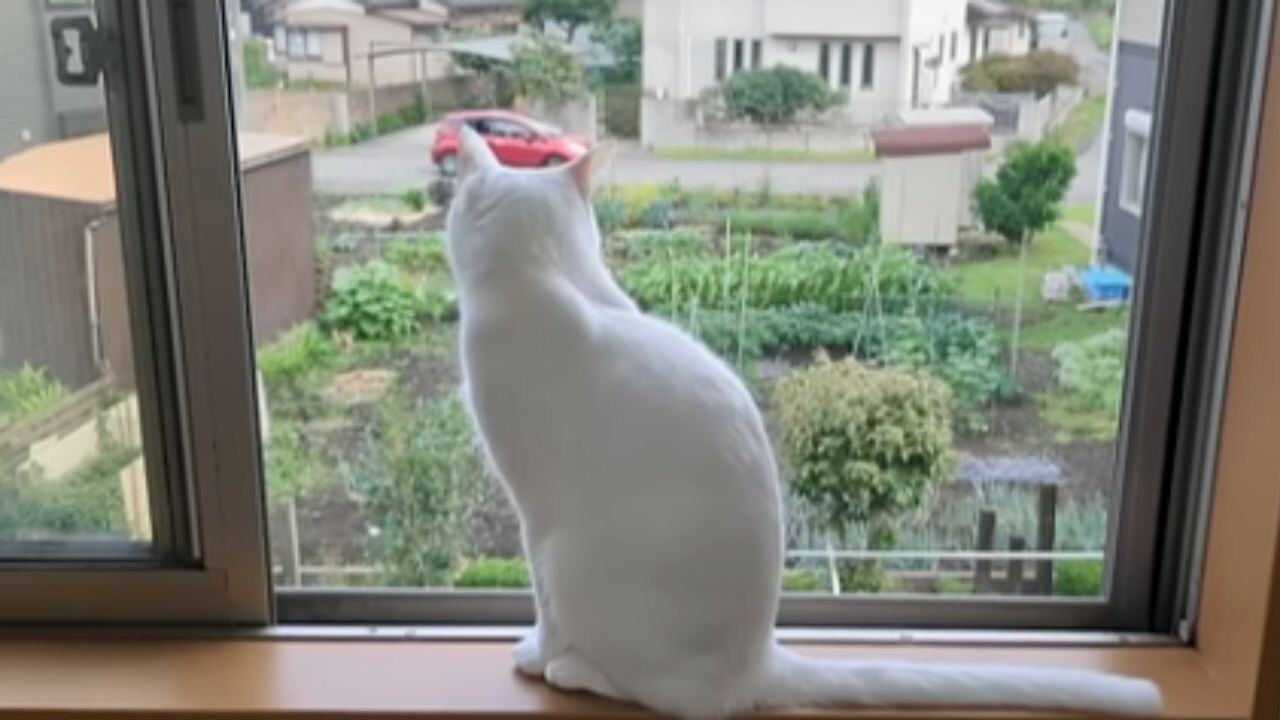 こんなに愛してるのに…」とパパ涙目！大好きなママの帰宅時だけ歓喜