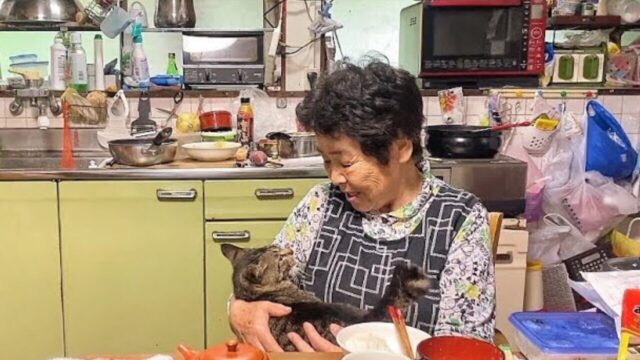 おばあちゃんと猫の田舎暮らしにほっこり…突然現れた甘えん坊の野良猫が良き相棒に